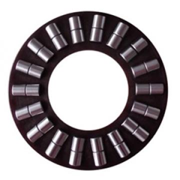 INA K87409 Thrust Roller 