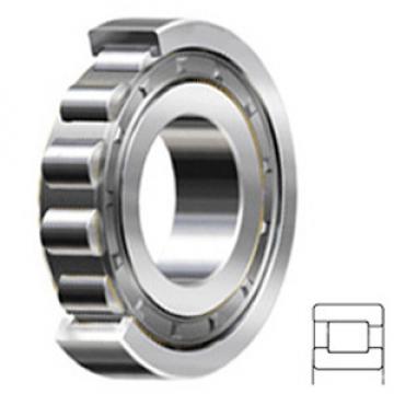 NSK NF211W Cylindrical Roller Bearings