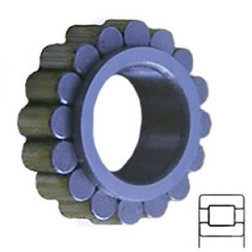 INA RSL182311 Cylindrical Roller s