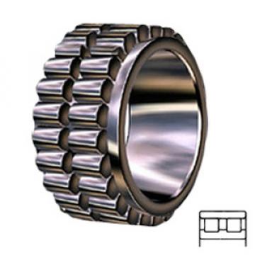 INA RSL185010 Cylindrical Roller s