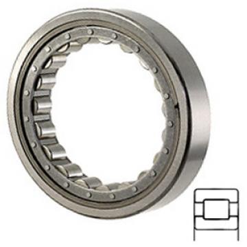 NTN M1205EAL Cylindrical Roller Thrust Bearings