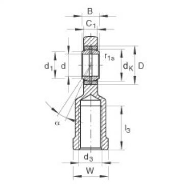 FAG Rod ends - GIL10-DO