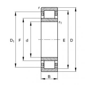 FAG Cylindrical roller bearings - NU19/670-TB-M1