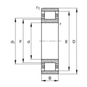 FAG Cylindrical roller bearings - N205-E-XL-TVP2