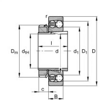 FAG Self-aligning ball bearings - 2210-K-TVH-C3 + H310