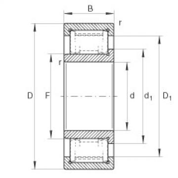 FAG Cylindrical roller bearings - ZSL192306