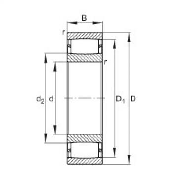 FAG Toroidal roller bearings - C2219-XL