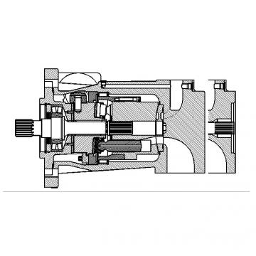 Dansion P080 series pump P080-02L1C-E20-00