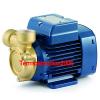 Peripheral Water Pump PQ 60-Bs 0,5Hp Brass body impeller 400V Pedrollo Z1 #1 small image