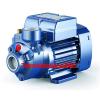 Electric Peripheral Water PK Pump PKm70 0,85Hp Brass impeller 240 Pedrollo Z1 #1 small image