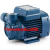 Electric Peripheral Water PQ Pump PQm81 0,7Hp Brass impeller 240V Pedrollo Z1