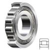 NSK NJ2224W Cylindrical Roller Bearings #1 small image