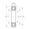 FAG Cylindrical roller bearings - SL192307-XL