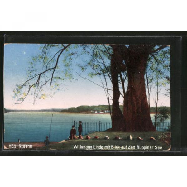 schöne AK Neuruppin, Wichmann Linde mit Blick auf den Ruppiner See 1916 #1 image