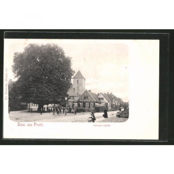 schöne AK Preetz, Teilansicht mit Grosser Linde und Kirche #1 image