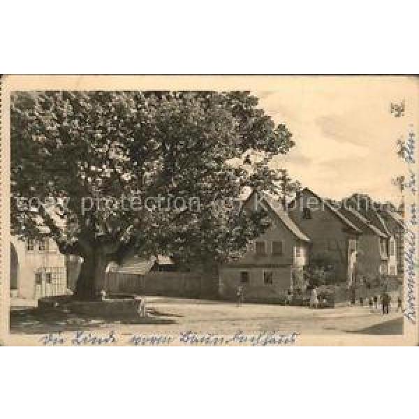 41432735 Kranichfeld Linde vor Baumbachhaus Kinder Kranichfeld #1 image