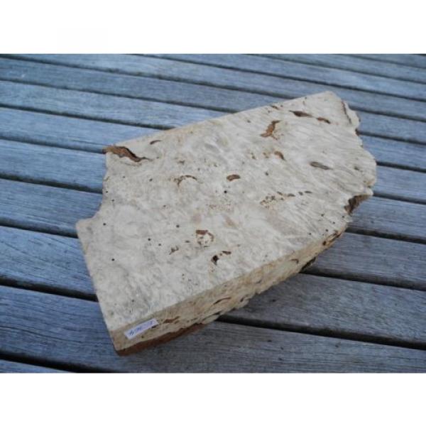 heimische Linde Maserlinde  z.B. Holzschmuck ca. 250 x 133 x 60 mm  E364 #2 image