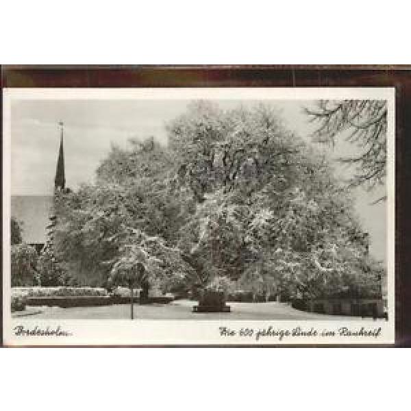 41387962 Bordesholm 600 jaehrige Linde im Schnee Bordesholm #1 image