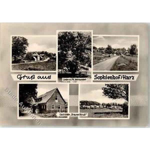 51922219 - Sophienhof b Nordhausen Gasthaus Brauner Hirsch alte Linde #1 image