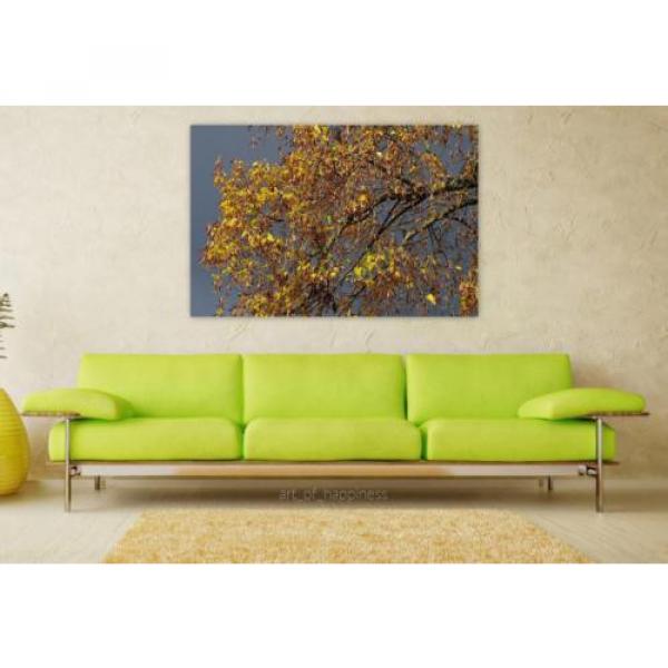 Stunning Poster Wall Art Decor Autumn Autumn Mood Linde Emerge 36x24 Inches #1 image