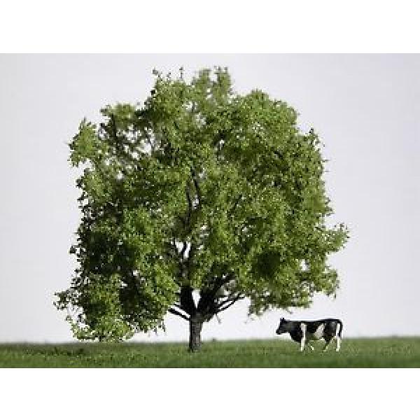 Avantgarde Modellbau Z Finescale Amerikanische Linde, Solitärbaum, 8-10cm #1 image