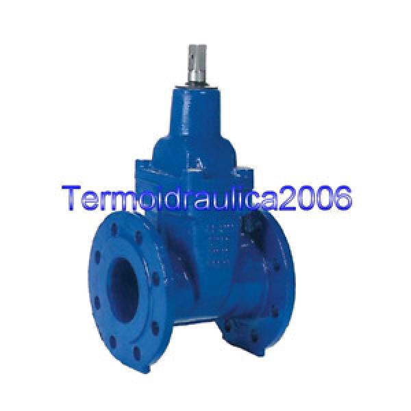 KSB 42275599 Cobra-SGP Gate valve with bolted bonnet, flat body DN 40 Z1 #1 image