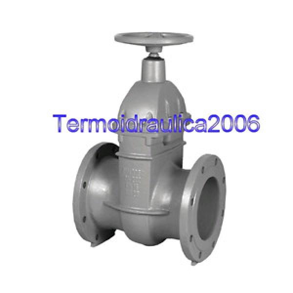 KSB 42275554 Ecoline-SP Gate valve with bolted bonnet, flat body DN 65 Z1 #1 image