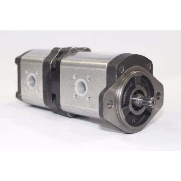 HEMA Gear Pump 1PN/1PN-281/119-AGS03XX #1 image