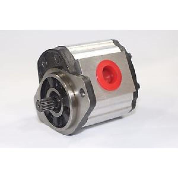 Hydraulic Gear Pump 1PN146CG1S13D3CNXS 14.6 cm³/rev  250 Bar Pressure Rating #1 image