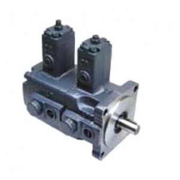 VVPE-F40C-F40C-10 Double Vane Pump #1 image