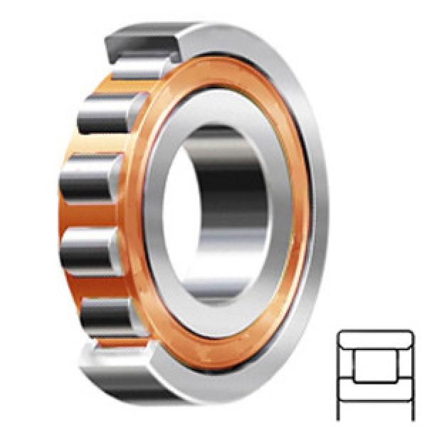 FAG BEARING N306-E-TVP2-C3 Cylindrical Roller Bearings #1 image
