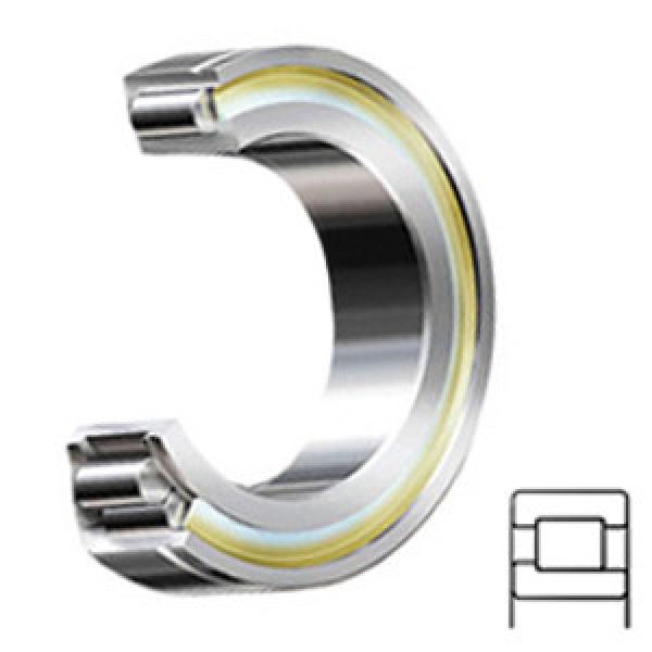INA SL192312-C3 Cylindrical Roller Bearings #1 image
