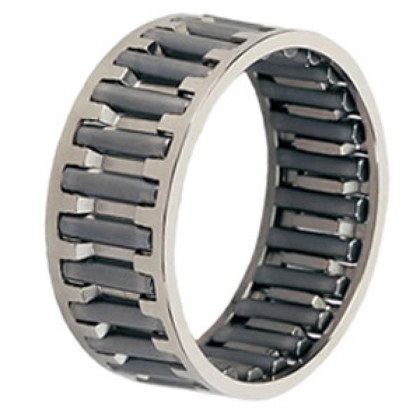 INA K15X19X17 Needle Non Thrust Roller Bearings #1 image