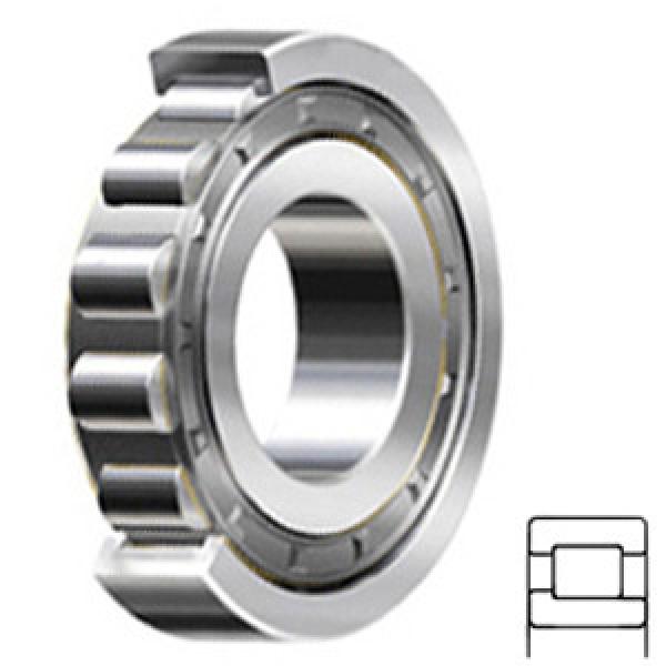 NTN NJ406 Cylindrical Roller Thrust Bearings #1 image