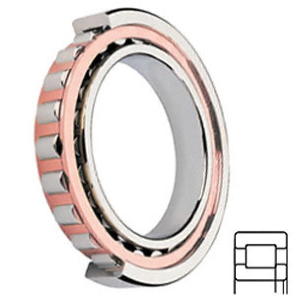 FAG BEARING NUP206-E-TVP2-C3 Cylindrical Roller Bearings #1 image