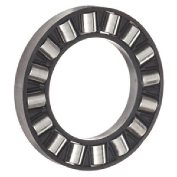 INA K81209-TV Thrust Roller Bearing #1 image