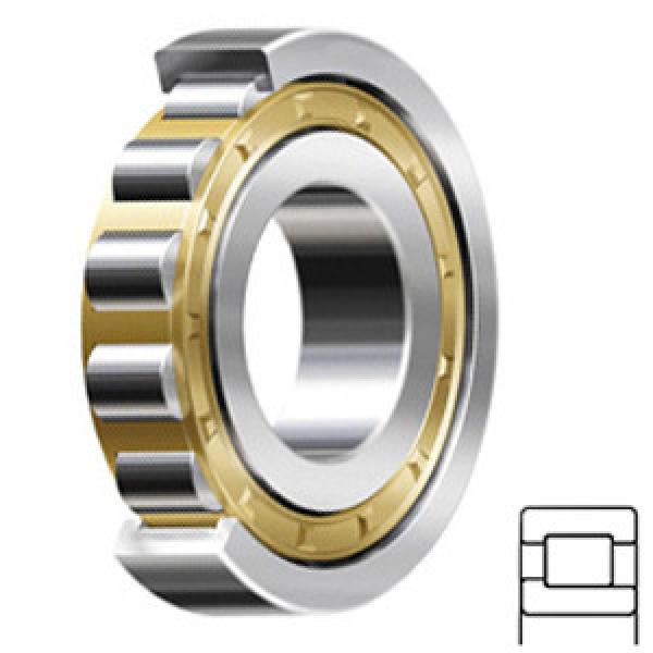 TIMKEN NJ2244EMAC3 Cylindrical Roller Thrust Bearings #1 image
