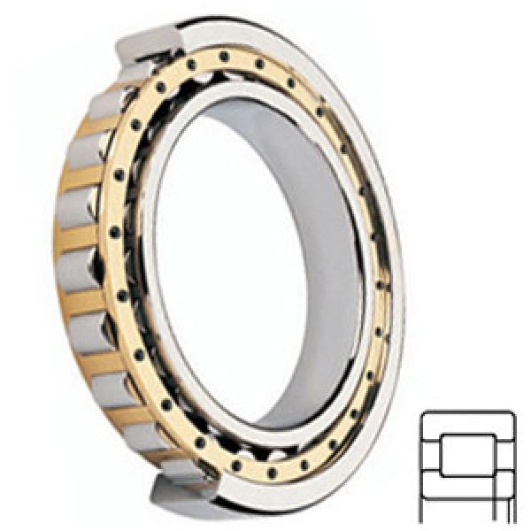 FAG BEARING NUP203-E-M1A Cylindrical Roller Bearings #1 image