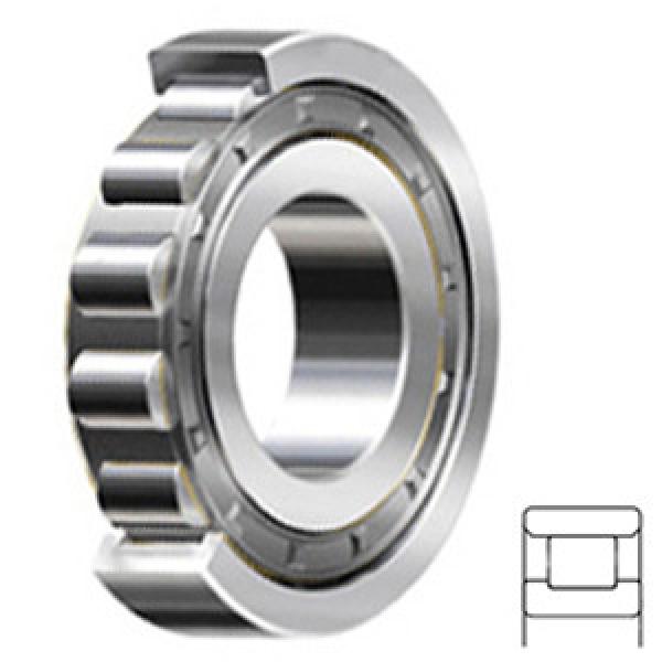 NSK N207W Cylindrical Roller Bearings #1 image