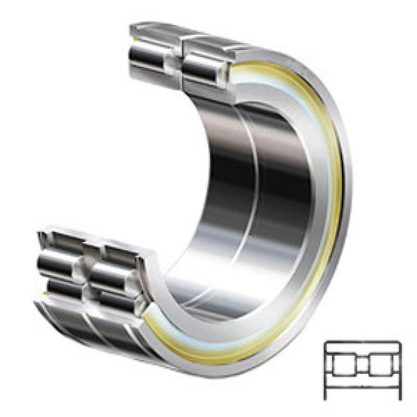 INA SL045005-PP Cylindrical Roller Bearings #1 image
