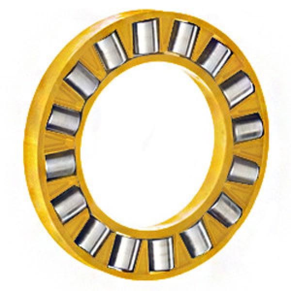 INA K81138M Thrust Roller Bearing #1 image