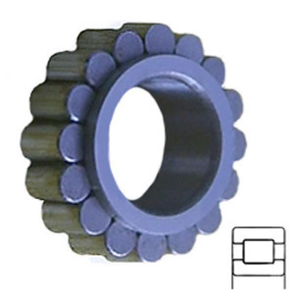 INA RSL182206 Cylindrical Roller s #1 image