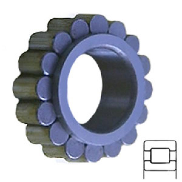 INA RSL182210 Cylindrical Roller s #1 image
