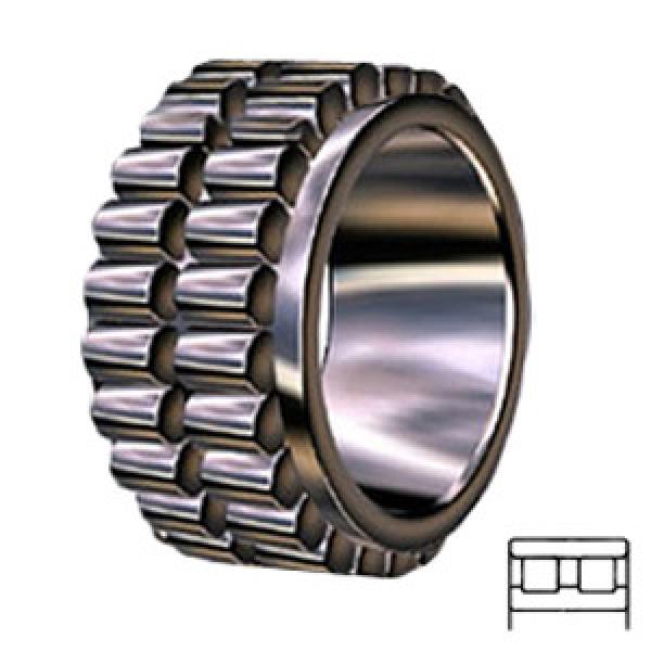 INA RSL185010 Cylindrical Roller s #1 image