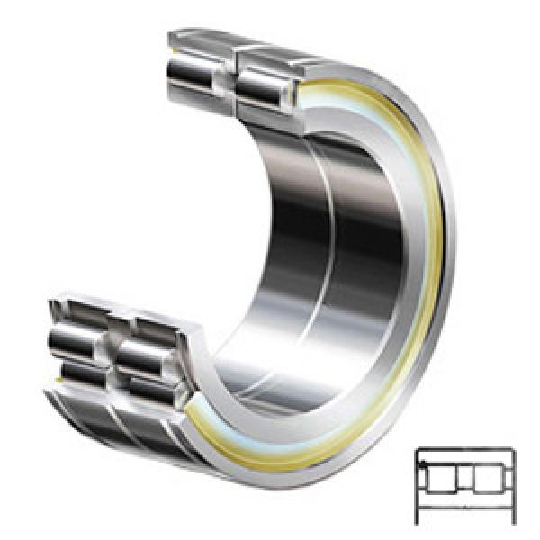 INA SL185022 C3 Cylindrical Roller Bearings #1 image