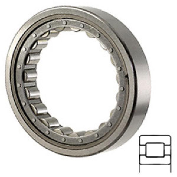 NTN M1208EL Cylindrical Roller Thrust Bearings #1 image