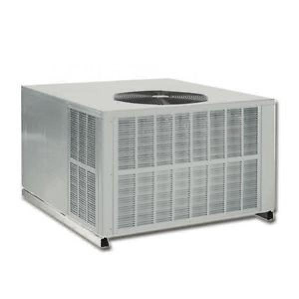 4 Ton 13 Seer Daikin Commercial Package Heat Pump DP13HM4843 #1 image