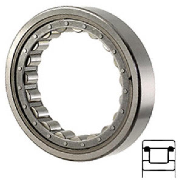 NTN M1205TV Cylindrical Roller Thrust Bearings #1 image