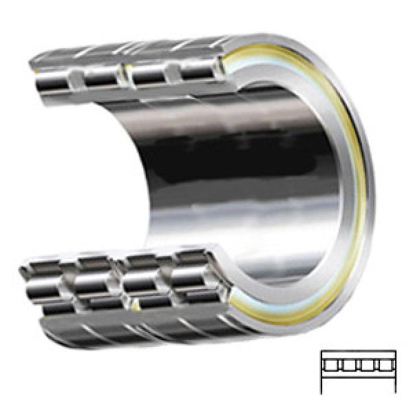 INA SL15916 Cylindrical Roller Bearings #1 image
