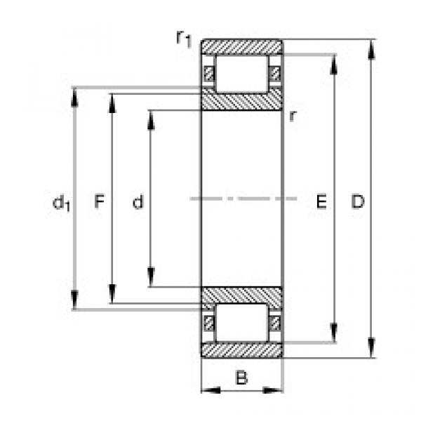 FAG Cylindrical roller bearings - N203-E-XL-TVP2 #1 image